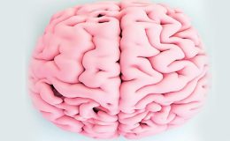 Beyne zarar veren 15 neden