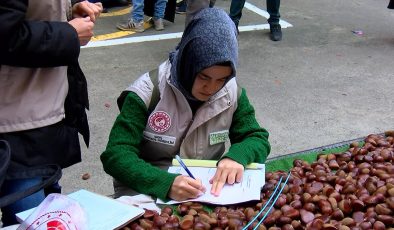 Pazarda Çin kestanesi alarmı