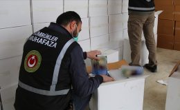 Kaçakçılar boş durmuyor: 8 yılda 13 kat arttı