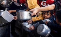 BM uyardı: Gıda krizi büyüyecek