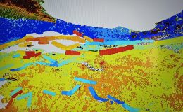 Profesörden rüya gibi öneri: Herkese müstakil ev