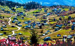 Doğu Karadeniz kırsalı yaşlandı: Kültür aktarımı risk altında