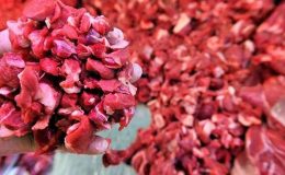 Ucuz et hayal oldu! “Fiyatlar 3-4 yıl düşmez”