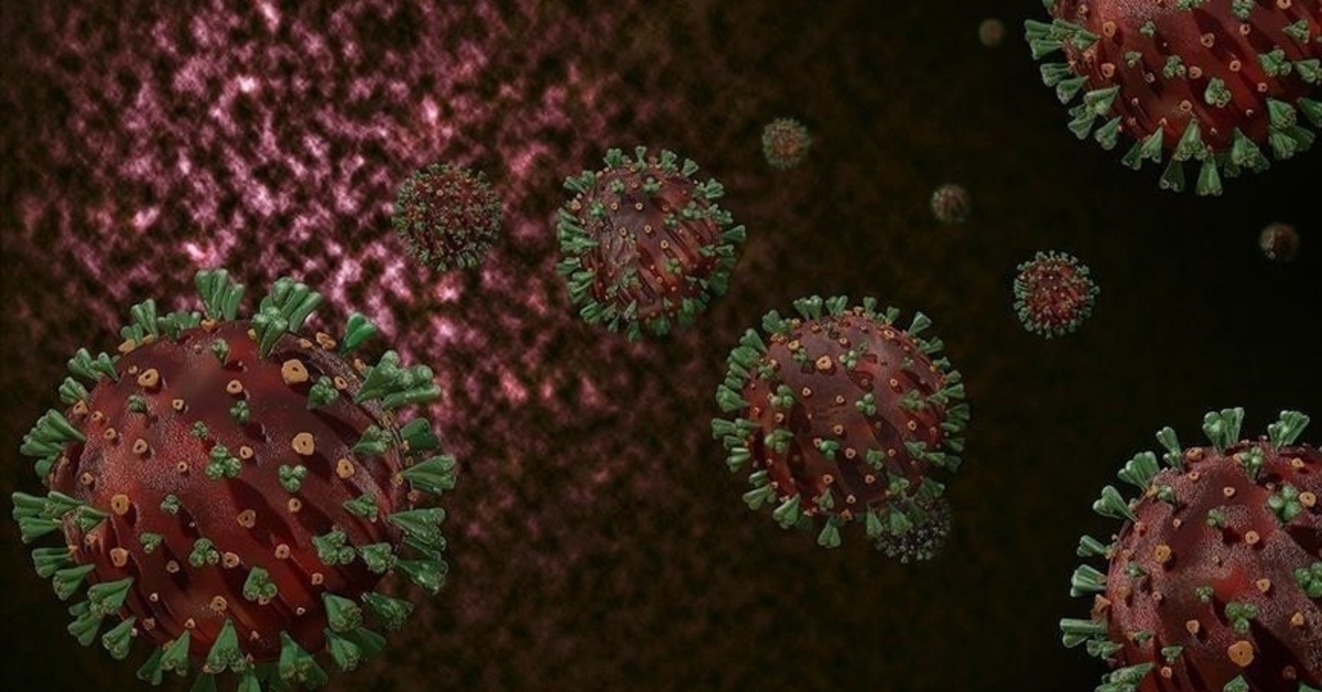 Avrupa’da M çiçeği uyarısı: Risk düşük ancak ithal vakalar artabilir