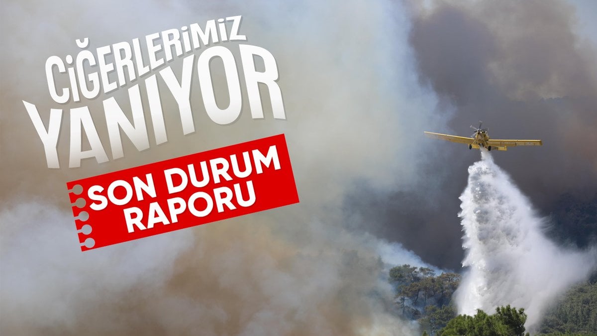 Türkiye’nin ciğerleri yanıyor: Yangınlara müdahalede son durum